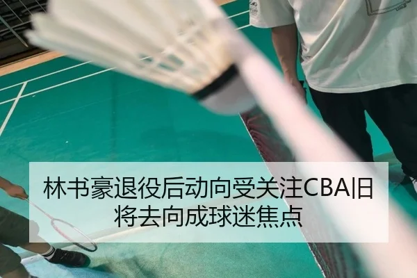 林书豪退役后动向受关注CBA旧将去向成球迷焦点